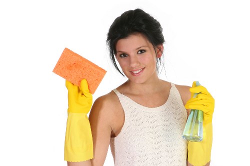 Professional carpet cleaning in an Oakleigh Park living room