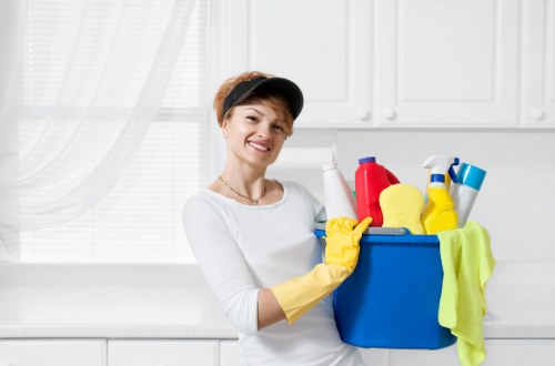 Deep cleaning treatment for pet odours in an Oakleigh Park home