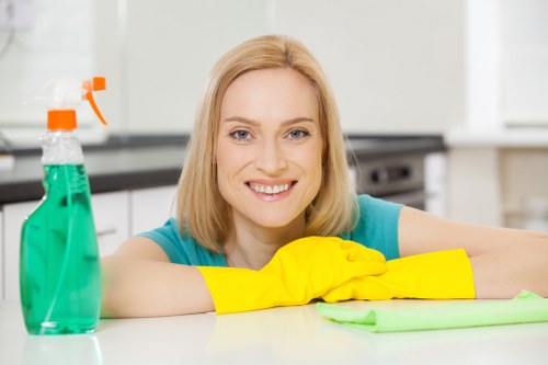 Accessible carpet cleaning website illustration with clear navigation