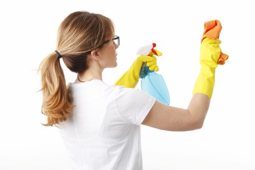 Deep carpet cleaning equipment refreshing a home carpet