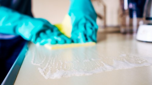 Professional hot water extraction equipment for carpet cleaning in Oakleigh Park