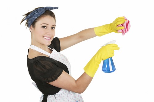 Review of a carpet cleaning complaint with service notes and assessment